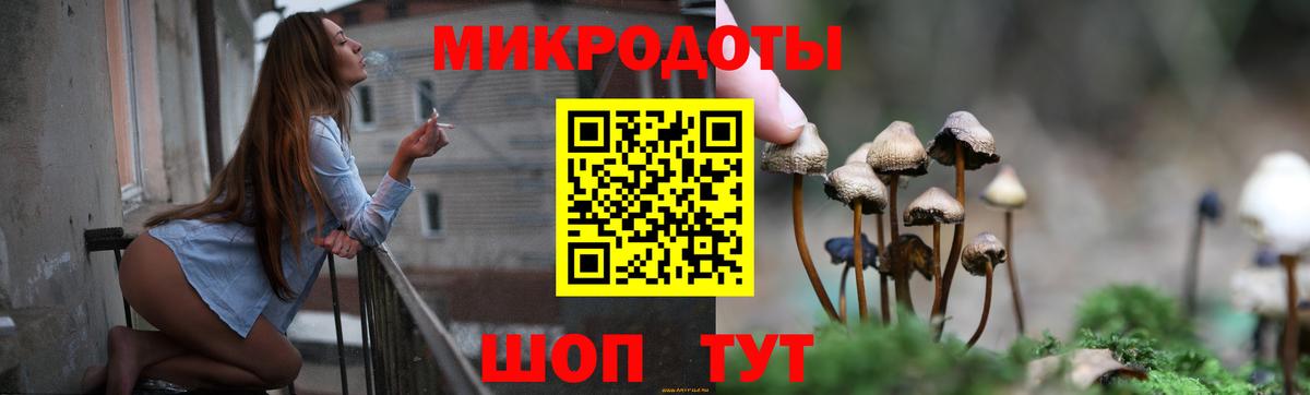 Галлюциногенные грибы Cubensis Ишим